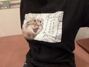 橘すみれの写メ日記｜ラブボート 吉原高級店ソープ