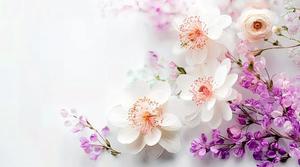 ちはるの写メ日記｜ルピナス 吉原高級店ソープ