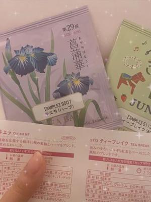 菖蒲りょうの写メ日記｜リュクス～LUXE～ 吉原高級店ソープ