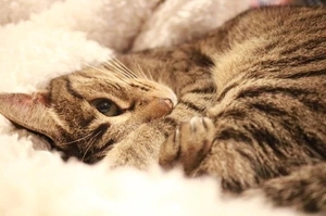 森下くるみの写メ日記|リュクス~LUXE~ 吉原高級店ソープ