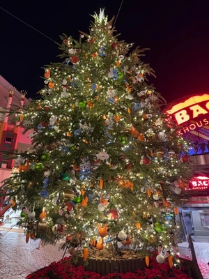 雪音じゅりの写メ日記｜リュクス～LUXE～ 吉原高級店ソープ