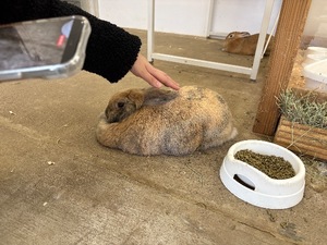 Koyukiの写メ日記｜ラグジュアリー 吉原高級店ソープ