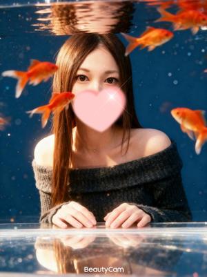 Ayanoの写メ日記|ラグジュアリー 吉原高級店ソープ