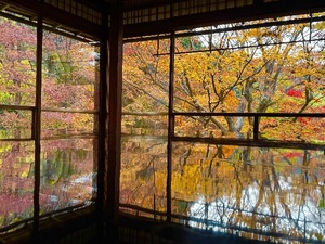 Mikuriの写メ日記｜ラグジュアリー 吉原高級店ソープ