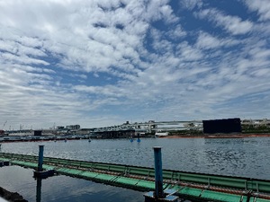 Mikuriの写メ日記｜ラグジュアリー 吉原高級店ソープ