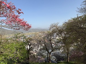 Otoの写メ日記｜ラグジュアリー 吉原高級店ソープ