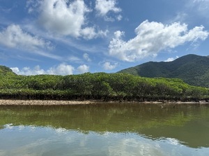 Otoの写メ日記｜ラグジュアリー 吉原高級店ソープ