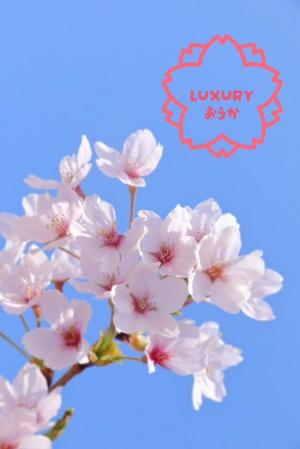 Oukaの写メ日記｜ラグジュアリー 吉原高級店ソープ