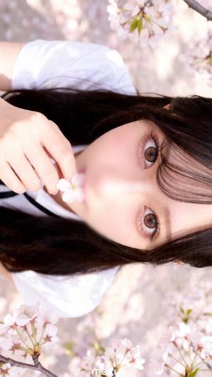 Hatsuneの写メ日記｜ラグジュアリー 吉原高級店ソープ