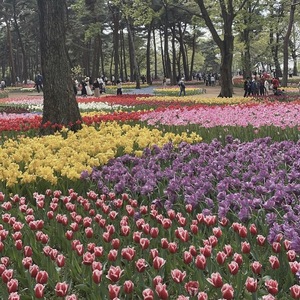 Tsukinoの写メ日記｜ラグジュアリー 吉原高級店ソープ