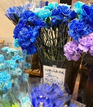 Tsukinoの写メ日記｜ラグジュアリー 吉原高級店ソープ