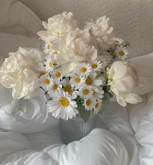 ましろの写メ日記｜聖女～マリア～ 吉原高級店ソープ