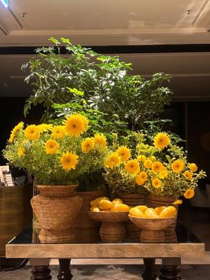 りかの写メ日記｜王室 吉原高級店ソープ