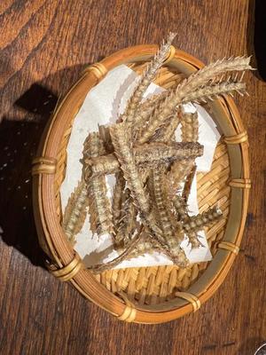 めいの写メ日記｜王室 吉原高級店ソープ