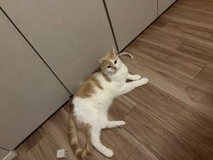 亜依の写メ日記｜王室 吉原高級店ソープ