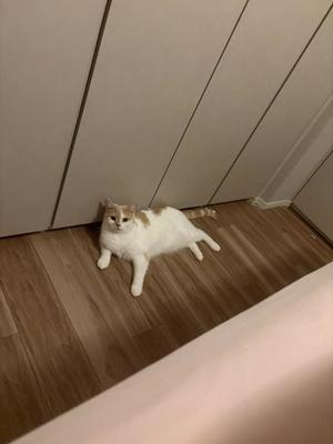亜依の写メ日記｜王室 吉原高級店ソープ