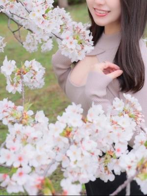 そらの写メ日記｜王室 吉原高級店ソープ