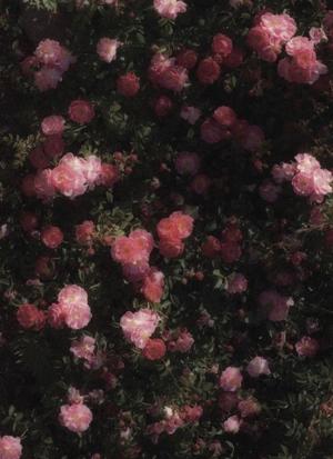 みくの写メ日記｜王室 吉原高級店ソープ