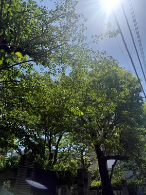 みやびの写メ日記｜王室 吉原高級店ソープ