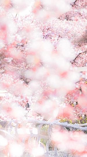 みやびの写メ日記｜王室 吉原高級店ソープ