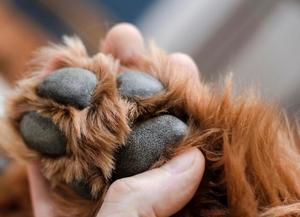 七瀬の写メ日記｜王室 吉原高級店ソープ