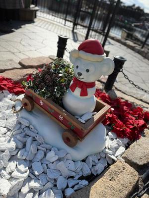 七瀬の写メ日記｜王室 吉原高級店ソープ