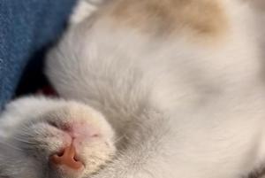 七瀬の写メ日記｜王室 吉原高級店ソープ