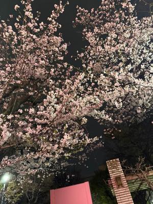 七瀬の写メ日記｜王室 吉原高級店ソープ