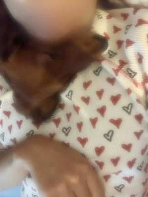 水樹の写メ日記｜パンドラ 吉原高級店ソープ