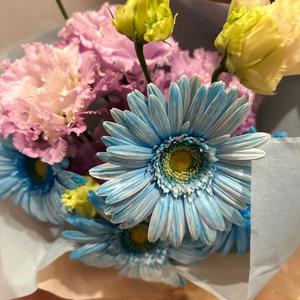 桜井の写メ日記｜パンドラ 吉原高級店ソープ