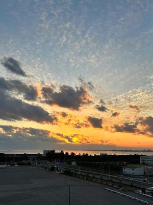 桜井の写メ日記｜パンドラ 吉原高級店ソープ