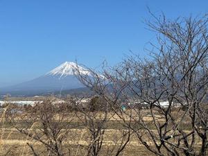 海野の写メ日記｜パンドラ 吉原高級店ソープ