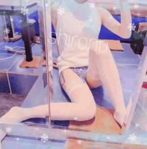 Shironaの写メ日記｜プレミアム 吉原高級店ソープ