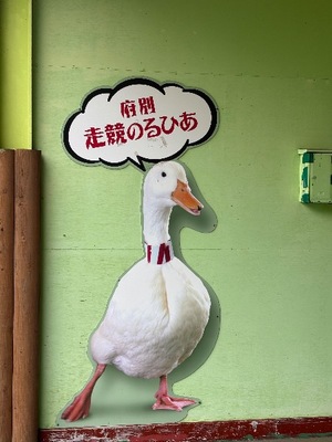 Kashuの写メ日記｜プレミアム 吉原高級店ソープ