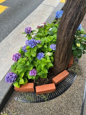 Kashuの写メ日記｜プレミアム 吉原高級店ソープ