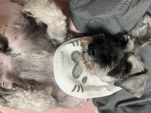 Kuraraの写メ日記｜プレミアム 吉原高級店ソープ