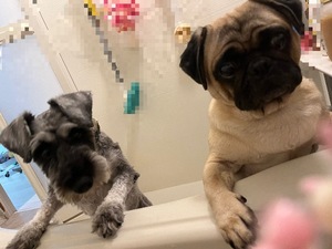 Kuraraの写メ日記｜プレミアム 吉原高級店ソープ