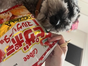 Kuraraの写メ日記｜プレミアム 吉原高級店ソープ