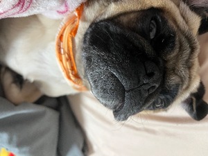 Kuraraの写メ日記｜プレミアム 吉原高級店ソープ