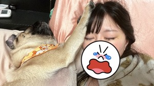 Kuraraの写メ日記｜プレミアム 吉原高級店ソープ