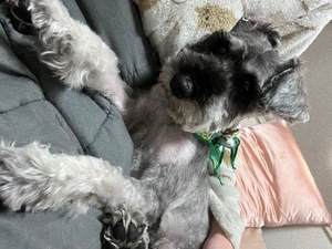 Kuraraの写メ日記｜プレミアム 吉原高級店ソープ