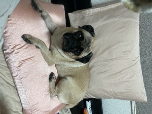 Kuraraの写メ日記｜プレミアム 吉原高級店ソープ