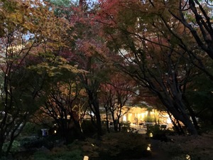 Misakiの写メ日記｜プレミアム 吉原高級店ソープ