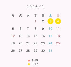 Wakabaの写メ日記｜プレミアム 吉原高級店ソープ