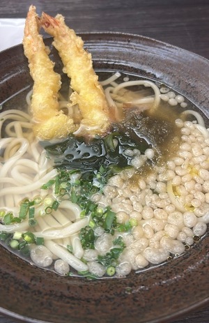 Wakabaの写メ日記｜プレミアム 吉原高級店ソープ