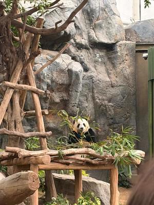 Annaの写メ日記｜プレミアム 吉原高級店ソープ