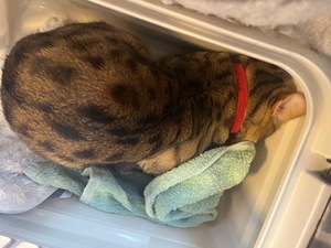 Ritoの写メ日記｜プレミアム 吉原高級店ソープ