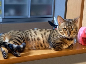 Ritoの写メ日記｜プレミアム 吉原高級店ソープ