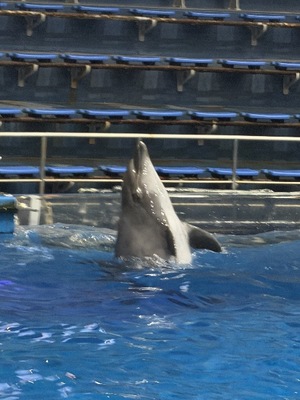 Ritoの写メ日記｜プレミアム 吉原高級店ソープ