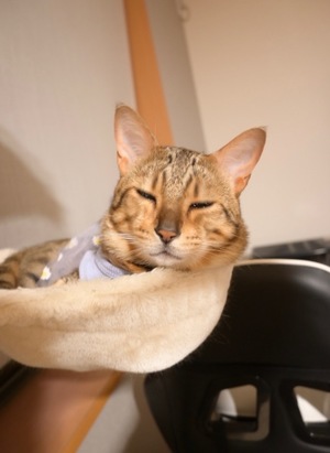 Ritoの写メ日記｜プレミアム 吉原高級店ソープ